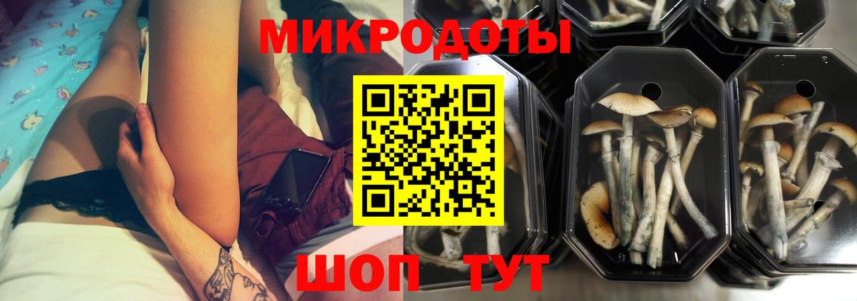 Малгобек  Галлюциногенные грибы GOLDEN TEACHER  Вход с VPN 